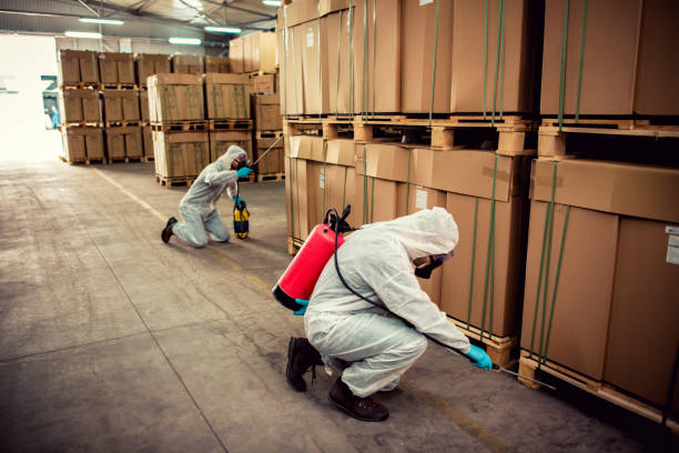 Best Best Pest Control Companies  in Mertzon, TX