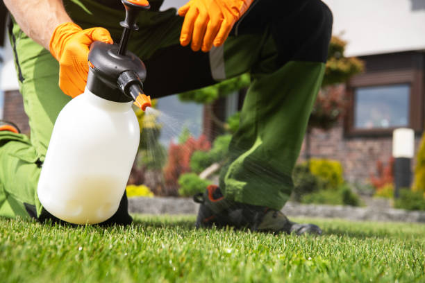 Best Emergency Pest Control  in Mertzon, TX