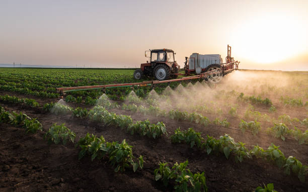 Professional Pest Control in Mertzon, TX