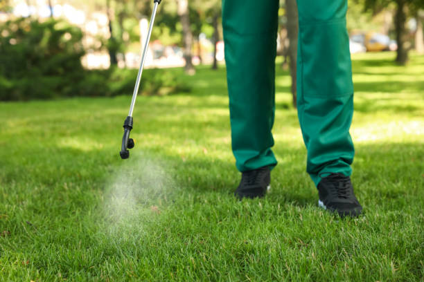 Best Affordable Pest Control Services  in Mertzon, TX