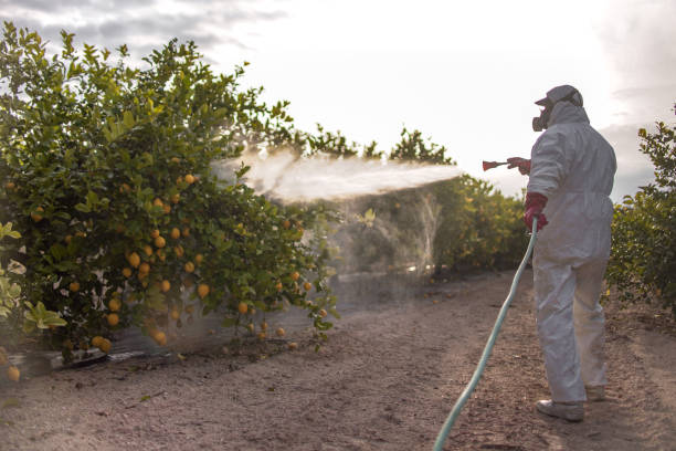 Best Cockroach Control Services  in Mertzon, TX
