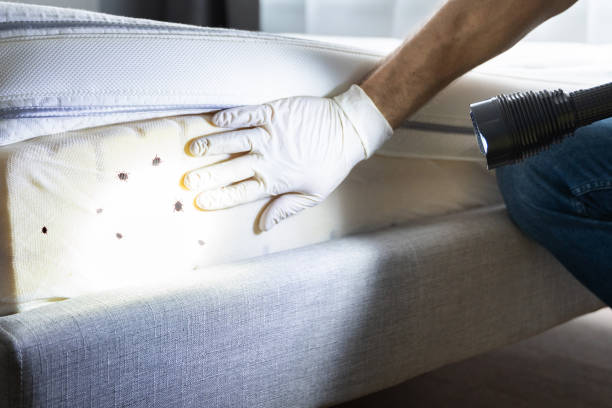 Best Best Pest Control Companies  in Mertzon, TX
