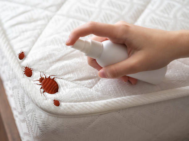 Best Pest Removal Services  in Mertzon, TX