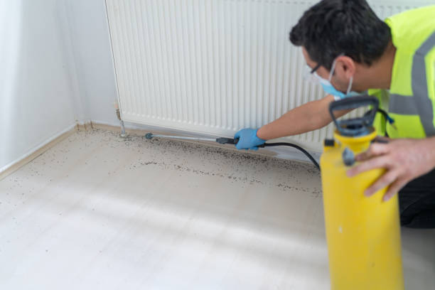 Best Ant Control Services  in Mertzon, TX