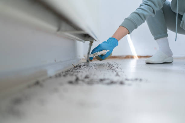 Best Wildlife Control Services  in Mertzon, TX